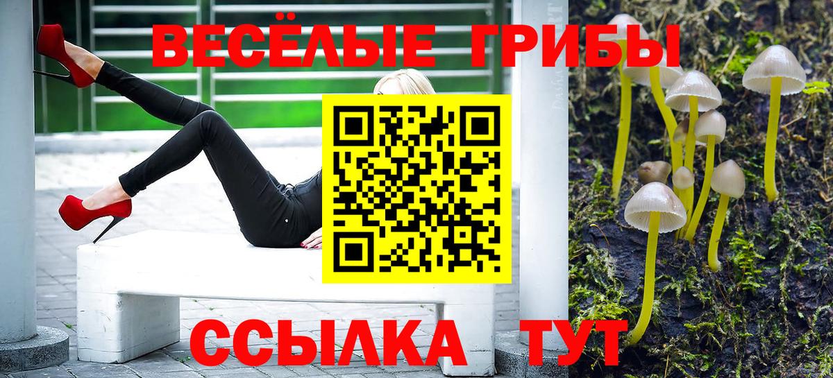 Галлюциногенные грибы ЛСД Ейск