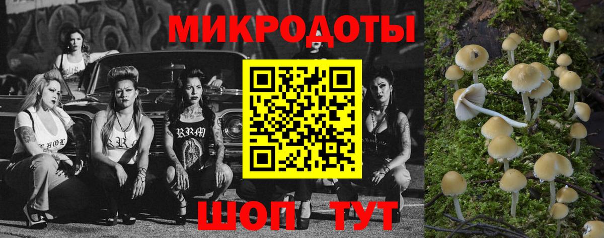 Ейск  Псилоцибиновые грибы мухоморы  Вход с VPN 